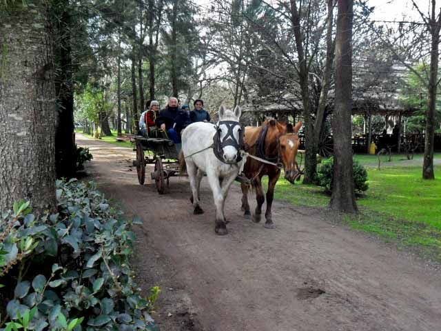 Estância Don Silvano, carruagens