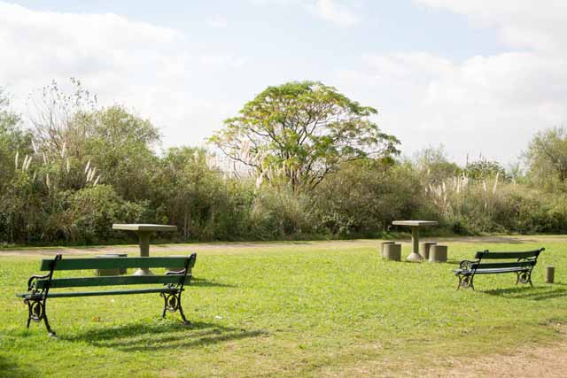 O verão em Buenos Aires, parques