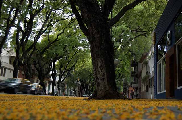 Como não passar perrengue em Buenos Aires, clima (Foto: blmurch)