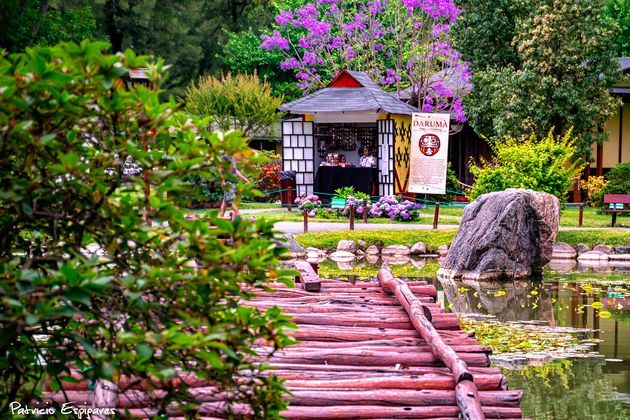 Jardim Japonês, ponte flutuante